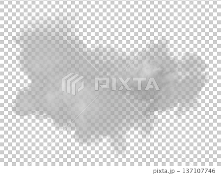 Abstract cloud of fog. Smoke overlay effect. Fog overlay effect. 137107746