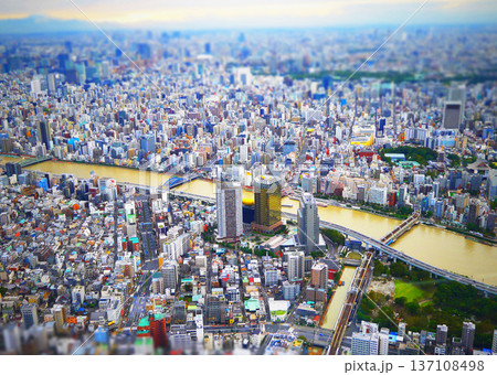 東京スカイツリーからの景色 137108498