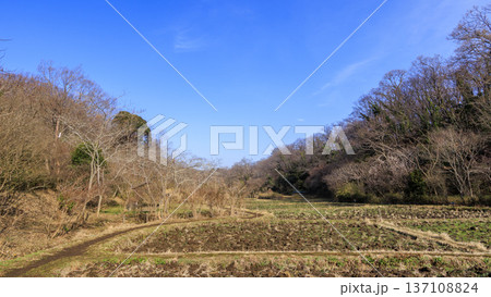横浜市戸塚区舞岡ふるさと公園の冬 137108824