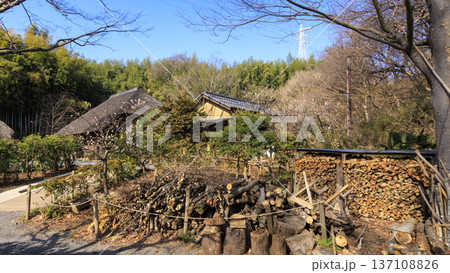 横浜市戸塚区舞岡ふるさと公園の冬 137108826