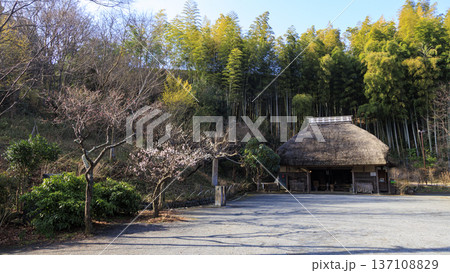 横浜市戸塚区舞岡ふるさと公園の冬 横浜市戸塚区舞岡ふるさと公園の冬 137108829