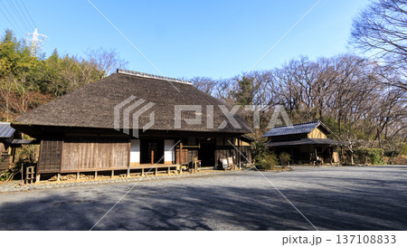 横浜市戸塚区舞岡ふるさと公園の冬 横浜市戸塚区舞岡ふるさと公園の冬 137108833
