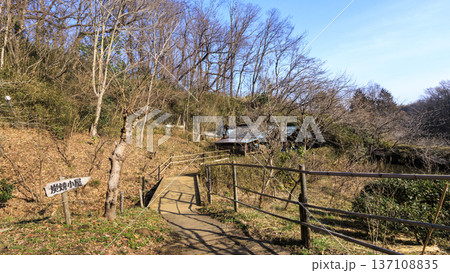 横浜市戸塚区舞岡ふるさと公園の冬 横浜市戸塚区舞岡ふるさと公園の冬 137108835