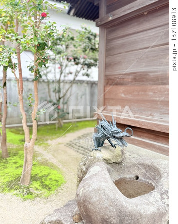新緑と手水舎の龍神様 137108913
