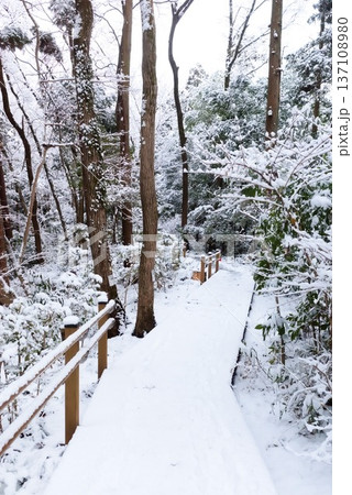 雪に包まれたウッドデッキの遊歩道 雪に包まれたウッドデッキの遊歩道 137108980