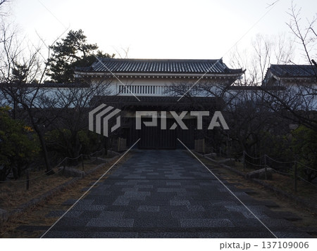 朝の岸和田城 朝の岸和田城 137109006