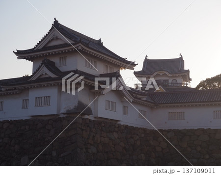 朝の岸和田城 137109011