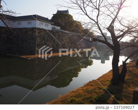 朝の岸和田城 137109027