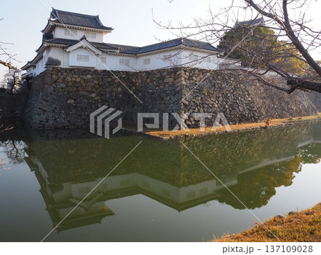 朝の岸和田城 137109028