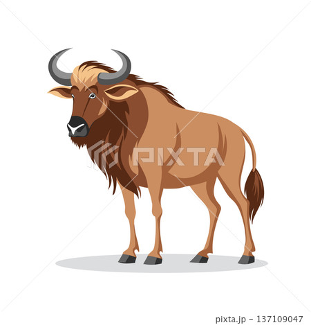 Wildebeest animal on white background. Wild animal illustration. 137109047