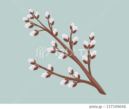 Willow twig isolated on green background. Festive spring illustration. 137109048