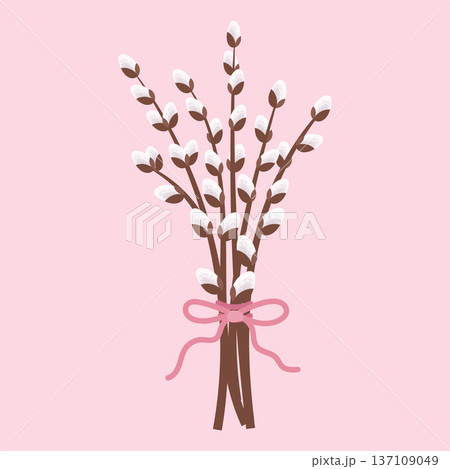 Willow twigs bouquet isolated on pink background. Festive spring illustration. 137109049