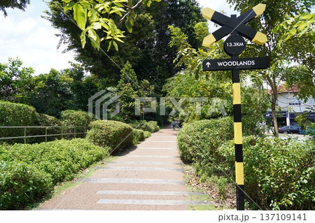 Tranquil Green Corridor Path with Directional Signpost 137109141