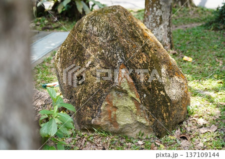 Ancient Moss-Covered Rock in Lush Green Park Landscape Ancient Moss-Covered Rock in Lush Green Park Landscape 137109144