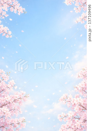 桜　背景 137109496