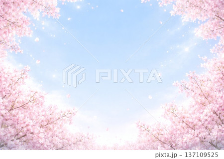 桜　背景 137109525