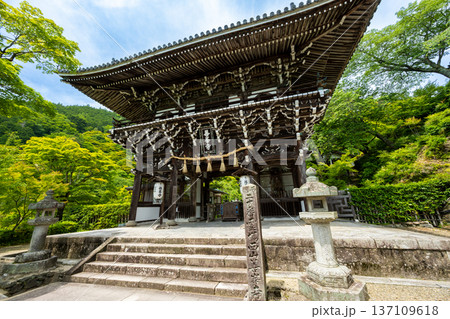 京都 西山 善峯寺の山門（楼門）。新緑に包まれた初夏の風景 137109618