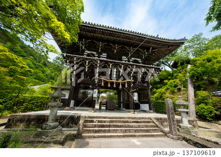京都 西山 善峯寺の山門(楼門)。新緑に包まれた初夏の風景 京都 西山 善峯寺の山門(楼門)。新緑に包まれた初夏の風景 137109619
