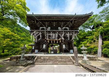 京都 西山 善峯寺の山門(楼門)。新緑に包まれた初夏の風景 京都 西山 善峯寺の山門(楼門)。新緑に包まれた初夏の風景 137109620