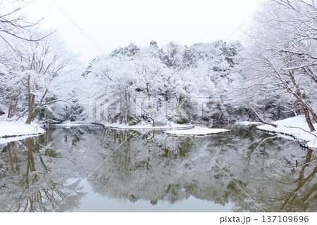 雪景色の水鳥の池 — 谷戸山公園の冬の風景 雪景色の水鳥の池 — 谷戸山公園の冬の風景 137109696