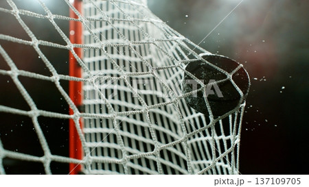 An ice hockey puck hitting the back of the net as it scores a goal 137109705
