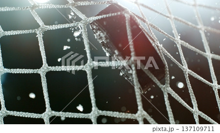 An ice hockey puck hitting the back of the net as it scores a goal 137109711