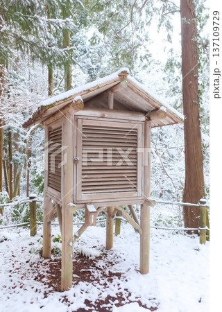 雪に包まれた谷戸山公園の百葉箱 雪に包まれた谷戸山公園の百葉箱 137109729