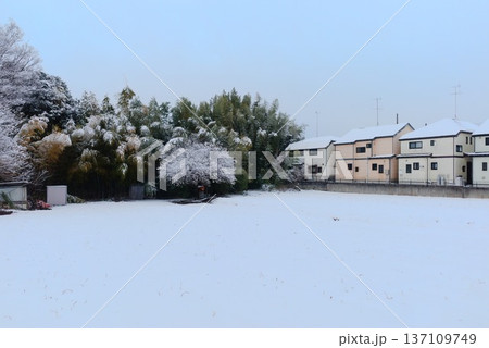 雪に覆われた冬の畑と住宅街の風景 雪に覆われた冬の畑と住宅街の風景 137109749