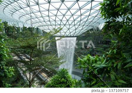 Singapore Jewel Changi Airport Rain Vortex Gardens Singapore Jewel Changi Airport Rain Vortex Gardens 137109757