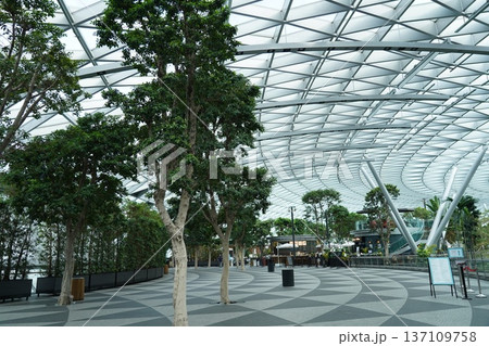 Indoor Garden at Jewel Changi Airport Singapore 137109758