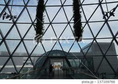 Airport Interior with Geometric Glass Structure and Plants 137109766