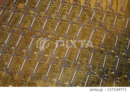 Rows of Changi Airport Trolleys, Abstract Pattern 137109771
