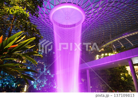 Spectacular Rain Vortex, Jewel Changi Airport Night View 137109813