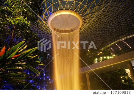 Jewel Changi Airport Rain Vortex with Lush Greenery 137109818