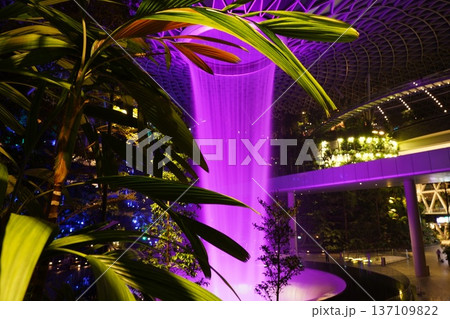 Dynamic Purple Waterfall in Modern Tropical Setting 137109822
