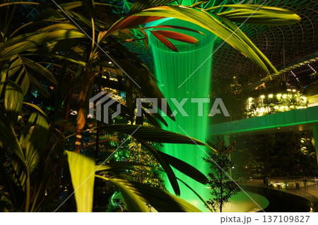 Vibrant Green Waterfall in a Lush Indoor Tropical Garden 137109827