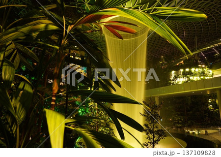 Indoor Waterfall in Jewel Changi Airport Singapore 137109828