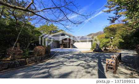 葉山しおさい公園の早春 137109911