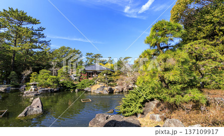葉山しおさい公園の早春 葉山しおさい公園の早春 137109917