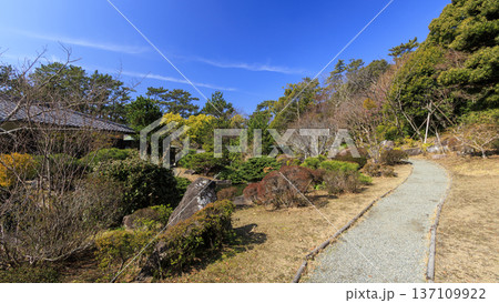 葉山しおさい公園の早春 葉山しおさい公園の早春 137109922