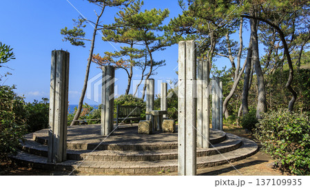 葉山しおさい公園の早春 葉山しおさい公園の早春 137109935