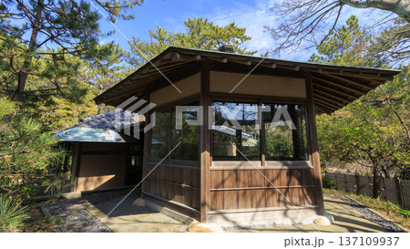 葉山しおさい公園の早春 葉山しおさい公園の早春 137109937