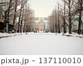 雪に包まれた北海道庁旧本庁舎（赤れんが庁舎） 137110010