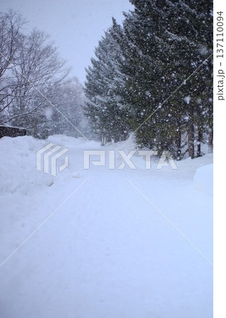 降り続く雪に包まれた静寂の雪道 137110094