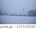 吹雪に霞む雪原と孤独な街灯 137110100