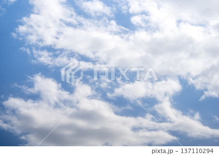 春の空 青空 晴れ 春 2月 イメージ 春の空 青空 晴れ 春 2月 イメージ 137110294