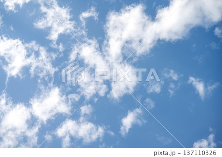 春の空 青空 晴れ 春 2月 イメージ 春の空 青空 晴れ 春 2月 イメージ 137110326