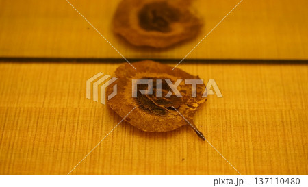 Seed Close Up with Reflection 137110480