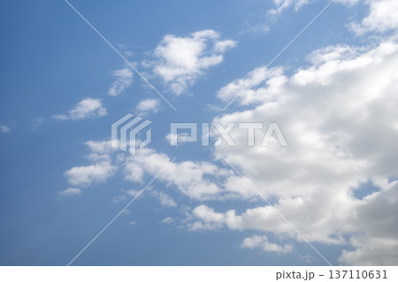 春の空 青空 晴れ 春 2月 イメージ 春の空 青空 晴れ 春 2月 イメージ 137110631