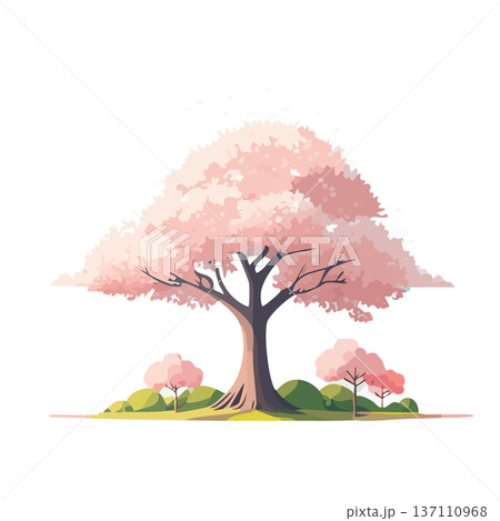 満開の桜の木と春の風景イラスト（入学・卒業・春素材） 137110968